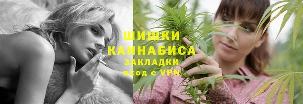 сатива Верхний Тагил