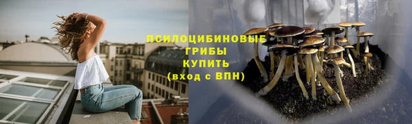 сатива Верхний Тагил