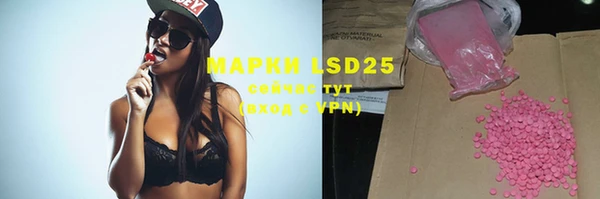 спиды Вяземский