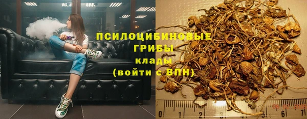 сатива Верхний Тагил