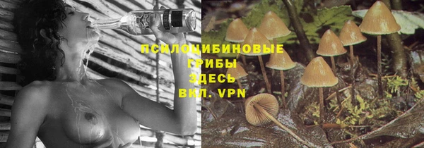 гидра Бугульма
