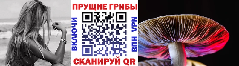 Галлюциногенные грибы Magic Shrooms  мориарти телеграм  Ивантеевка 